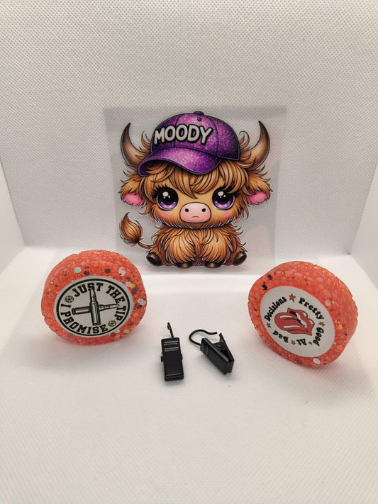 01- Car Vent Freshie